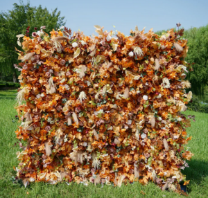 Autumn Romance